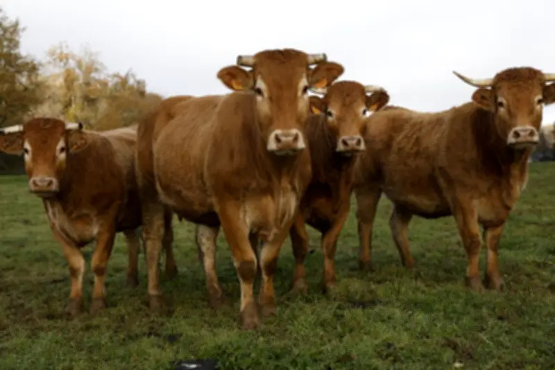 Printemps à la ferme : les agriculteurs de Dordogne ouvrent leurs portes en mai