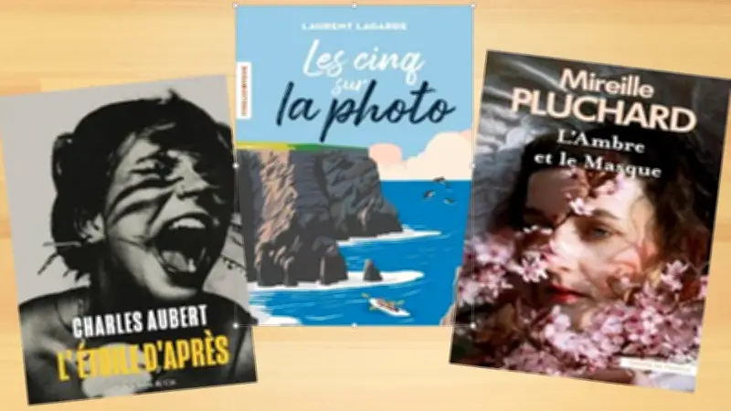 Prix des lecteurs du Grand Pic Saint-Loup : trois romans en lice