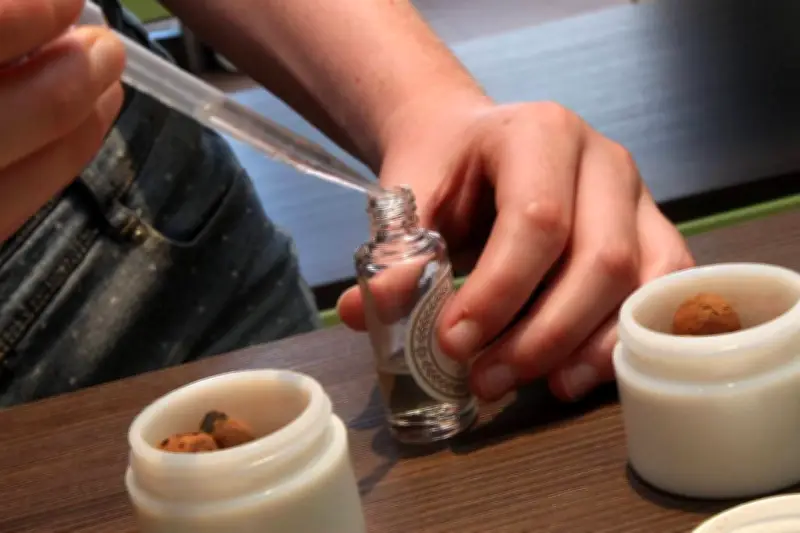 Prodarom lance une campagne vidéo pour promouvoir les métiers de la parfumerie et des arômes alimentaires