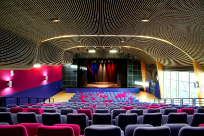 Projection et rencontre autour du film 'Un long dimanche de fiançailles' à l'espace Brémontier