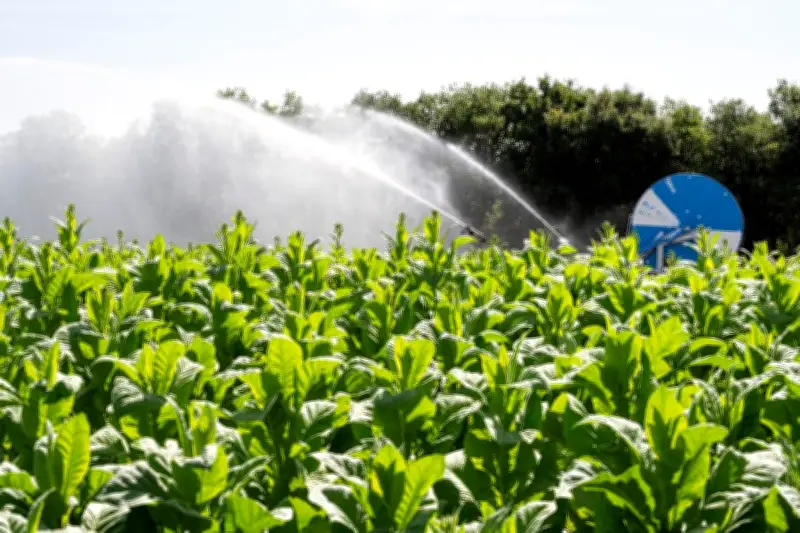 Projet de loi d'urgence agricole : accès à l'eau, concurrence et souveraineté alimentaire