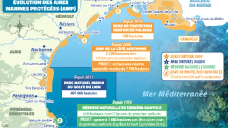Protection de la Méditerranée : les défis des aires marines en Occitanie