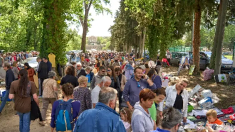 Puces géantes du 1er-Mai : une édition record à Aniane