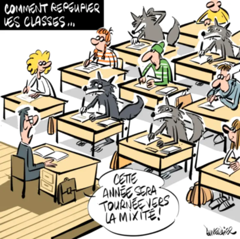 Pyrénées-Atlantiques : Éducation en baisse, ours en hausse, et tensions à la polyclinique de Pau