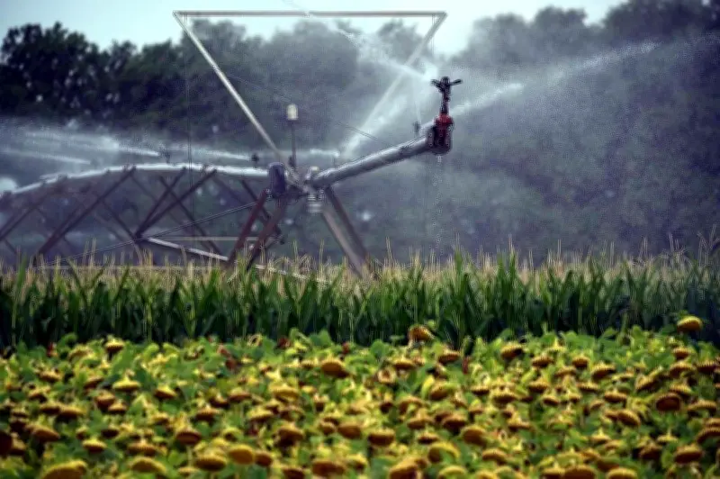 Pyrénées-Atlantiques : Pillages répétés sur les installations agricoles, les agriculteurs s'alarment