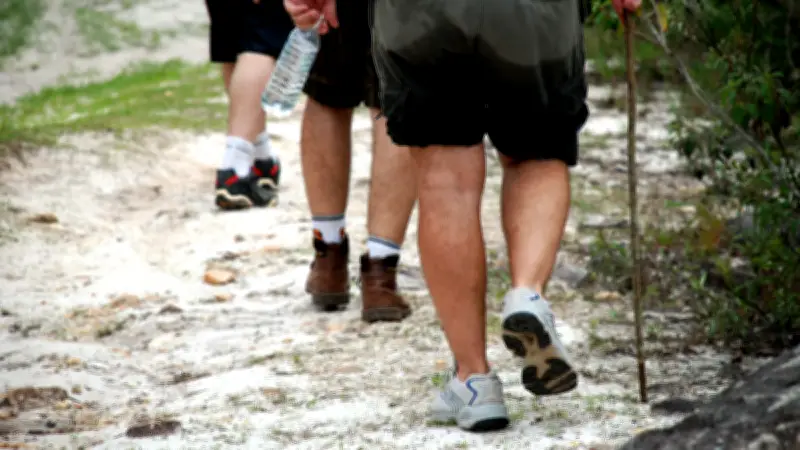 Randonnée dans le Vercors : un Américain mordu par un serpent, état grave
