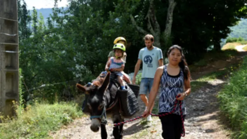 Randonnée en Cévennes avec un âne : l'expérience Stevenson