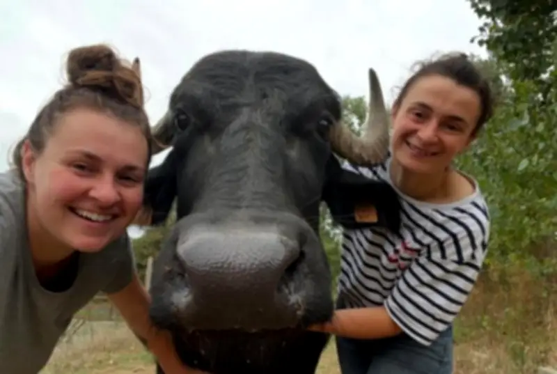 Randonnée gourmande des parents d'élèves pour découvrir artisans et producteurs landais