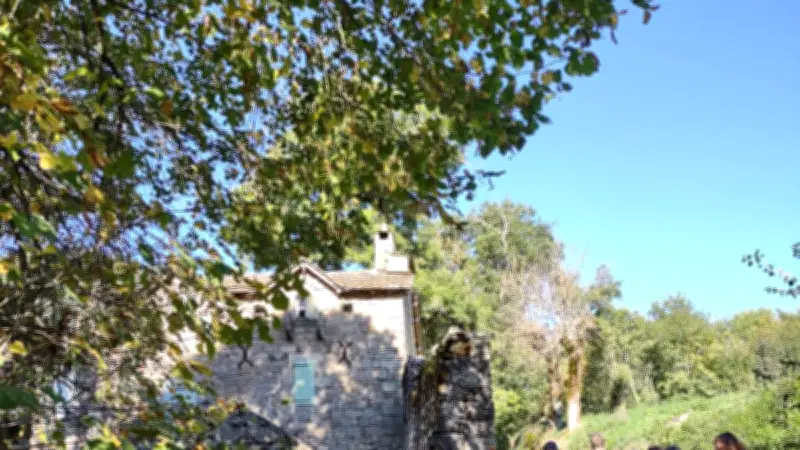 Randonnée Gourmande à Saint-Léons : Nature et Saveurs Locales