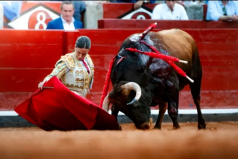 Raquel Martín, novillera espagnole, vise la consécration dans les Landes malgré les défis