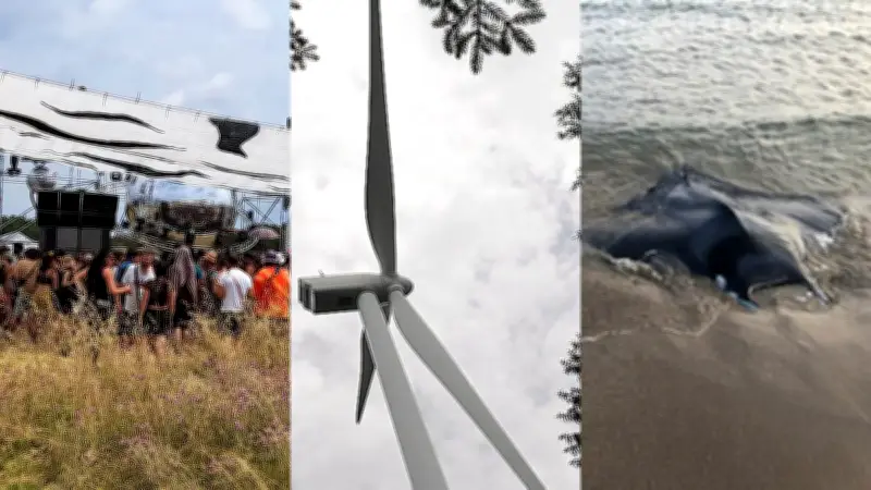 Rave-party illégale, éolien stoppé, raies sauvées : actu régions