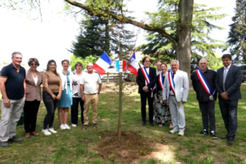 Razimet : Plantation d'un arbre symbolique pour lancer les projets municipaux