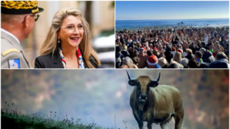 Record de baigneurs à Agde, Légion d'honneur et DNC en Ariège : l'actu du 1er janvier 2026 en Occitanie
