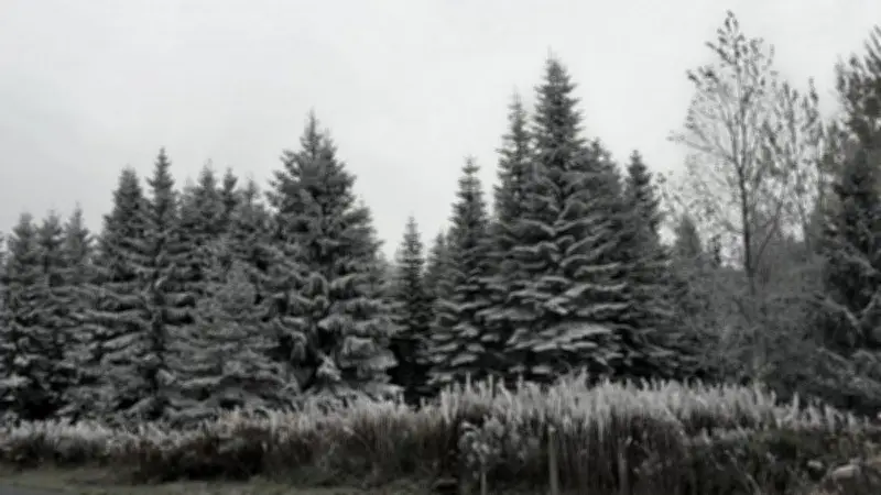 Records de froid dans le Sud-Ouest : -3,6° à Rodez, 5,8° à Sète