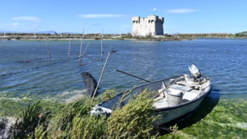 Redécouvrir Palavas autrement avec les visites guidées de mai