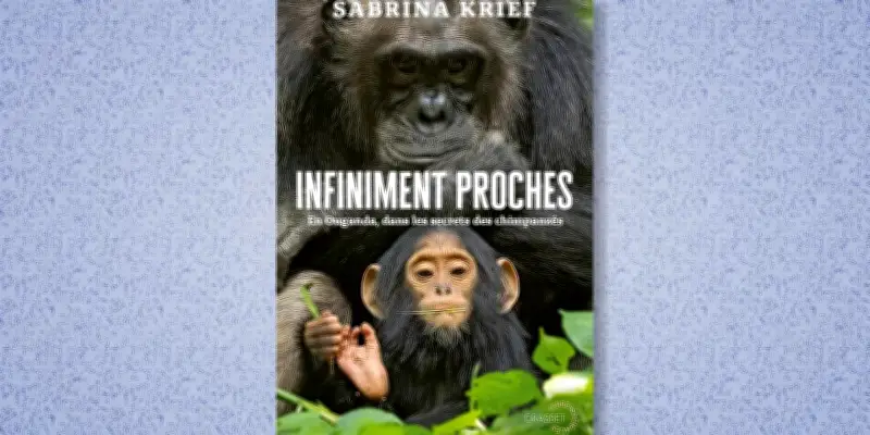 Rencontre avec les chimpanzés du parc de Kibale en Ouganda : une proximité infinie