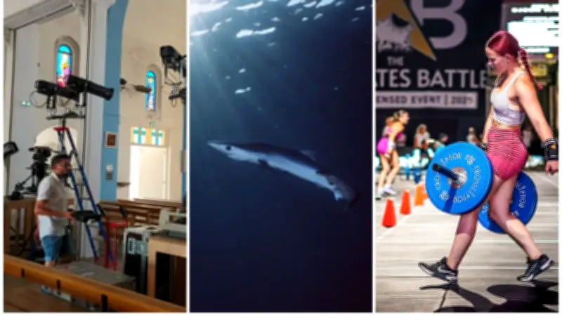 Requin au Grau-du-Roi, CrossFit à Nîmes : l'actu régionale du 5 juillet