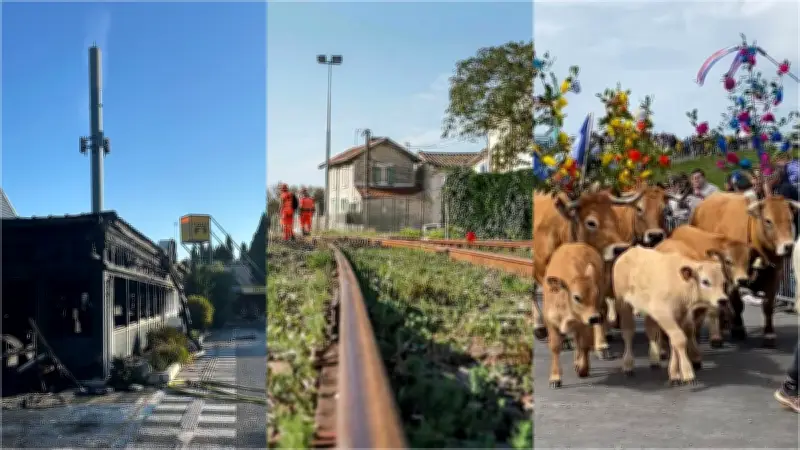Restaurant détruit, trains supprimés, transhumance : l'actu régionale
