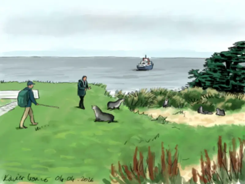 Retour anticipé du Marion-Dufresne pour fuir un cyclone