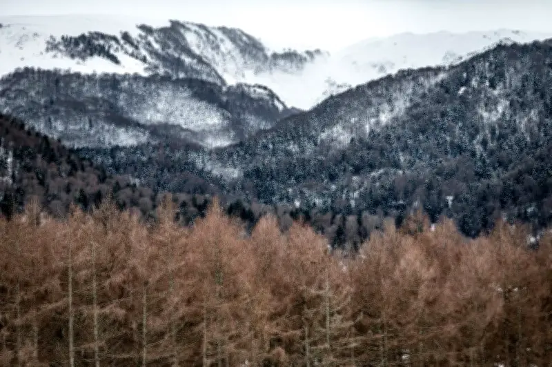 Retour brutal du froid dans les Pyrénées : neige attendue dès 800 mètres d'altitude