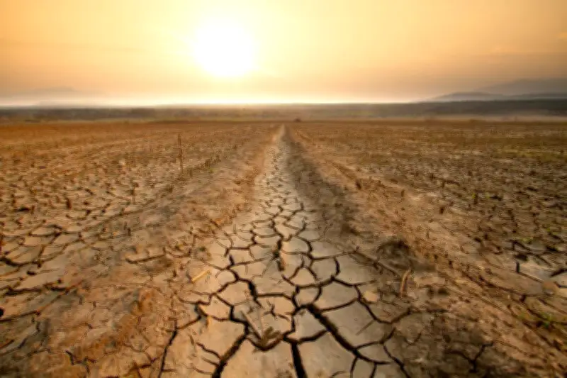 Retour d'El Niño jugé « de plus en plus probable » à partir de mi-2026