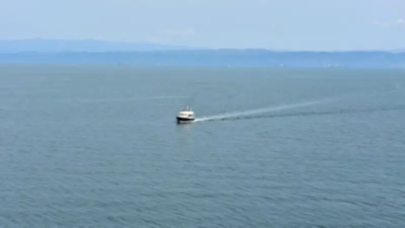 Roumanie : quatre morts dont un enfant dans le chavirement d'un bateau de tourisme