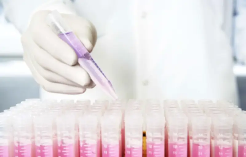 Rétractation d'une étude prometteuse sur le cancer du pancréas