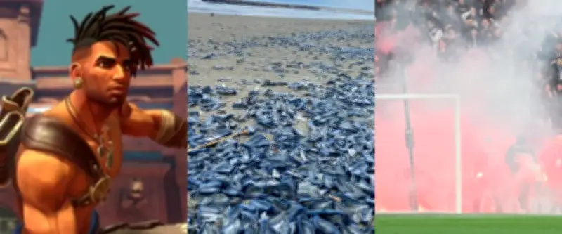Rétrospective mars 2025 : chaos à la Mosson, Pégases, marée violette