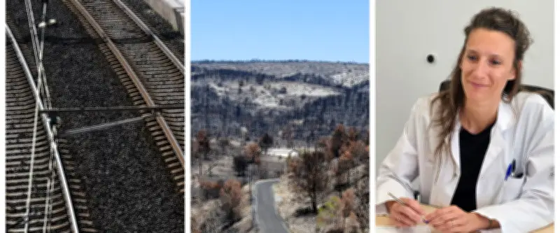 Sabotage SNCF, 10M€ pour l'Aude, psilocybine contre alcoolisme : actu Occitanie