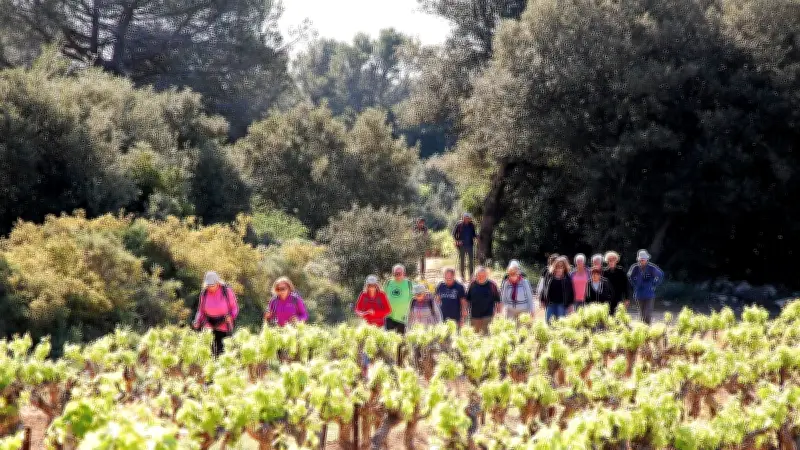 Sabran : la traditionnelle randonnée des vignerons de retour le 1er mai