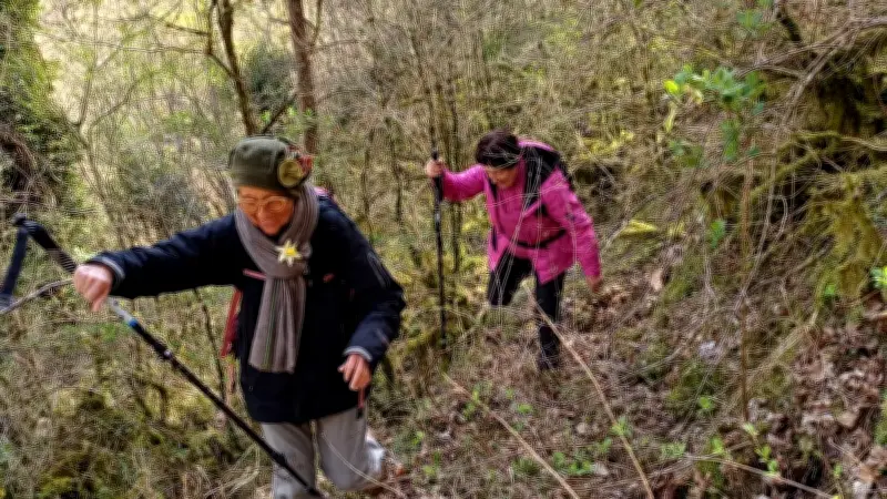 Saint-Alban-sur-Limagnole : Les Sentiers de Margeride assurent l'entretien des chemins de randonnée
