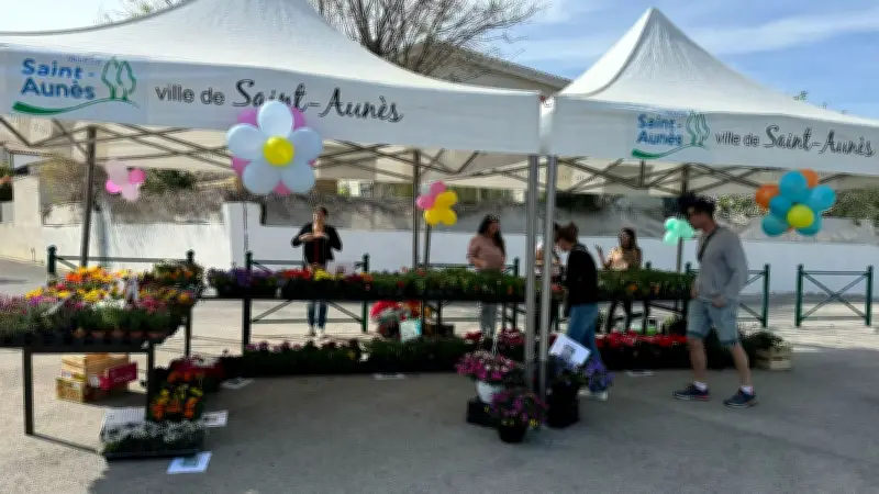 Saint-Aunès : Les parents organisent un marché aux fleurs pour financer la coopérative scolaire