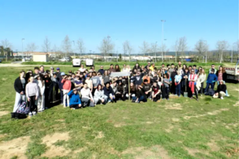 À Saint-Maximin, une forêt pédagogique naît grâce à l'engagement des élèves
