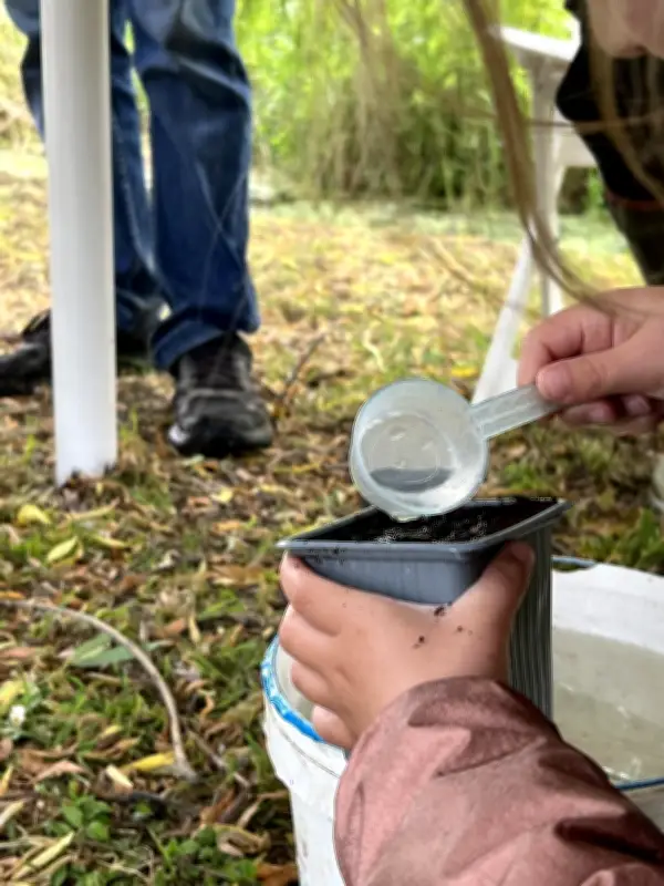 Saint-Palais-sur-Mer célèbre les Semaines de l'arbre et du paysage avec animations pédagogiques