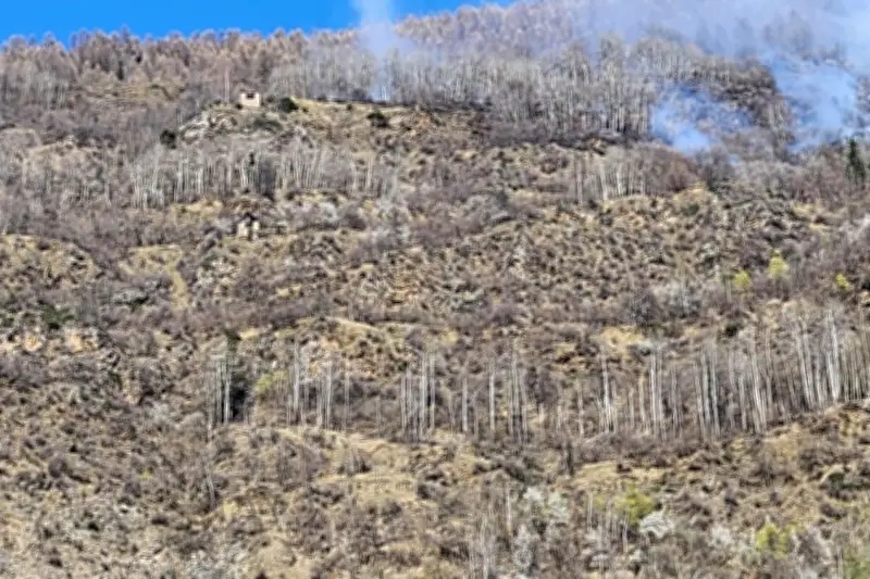 Saint-Étienne-de-Tinée : un incendie naturel stabilisé par les pompiers sans victime