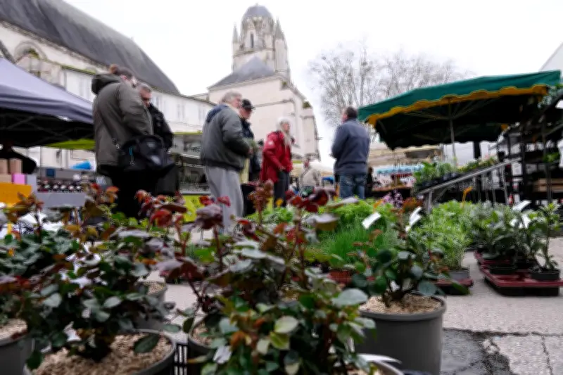 Saintes : un sexagénaire interpellé pour vol de sac et utilisation frauduleuse de carte bancaire