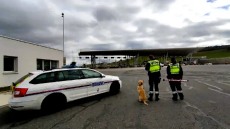 Saisie record de 546 kg de cannabis sur l'A75 à Millau