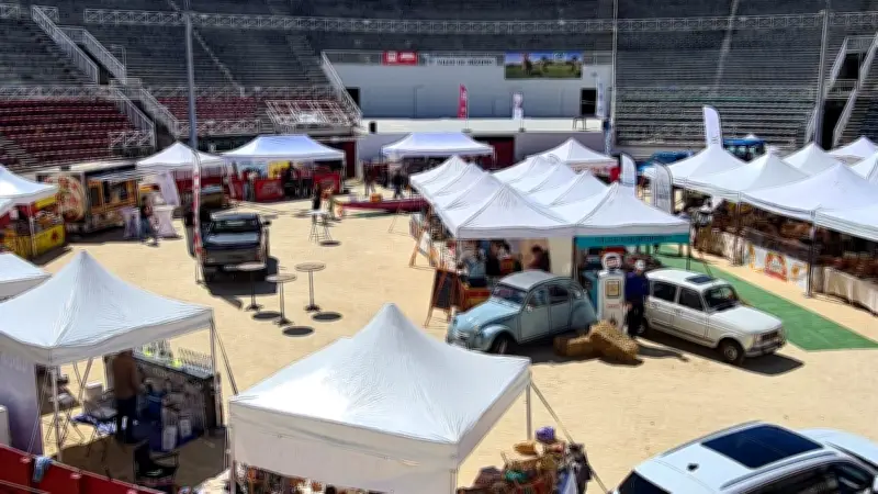 Salon de l'agriculture à Béziers : tonte, loto-bouses et candidats de L'amour est dans le pré
