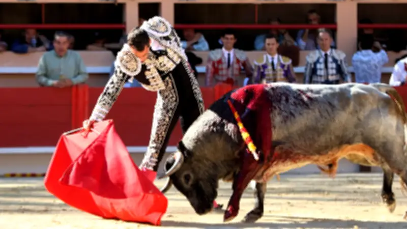 Saltillo remporte le défi taurin, Pepe Moral décroche l'unique oreille à Saint-Martin-de-Crau