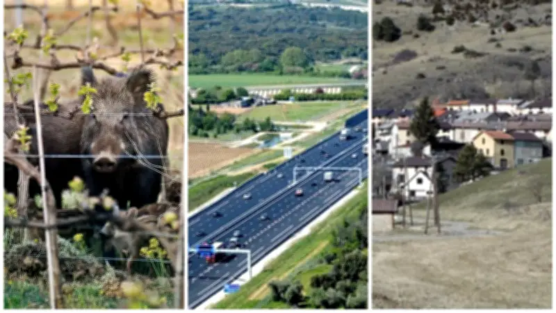 Sangliers à Nîmes, accident sur l’A9, records de froid : l’actu régionale