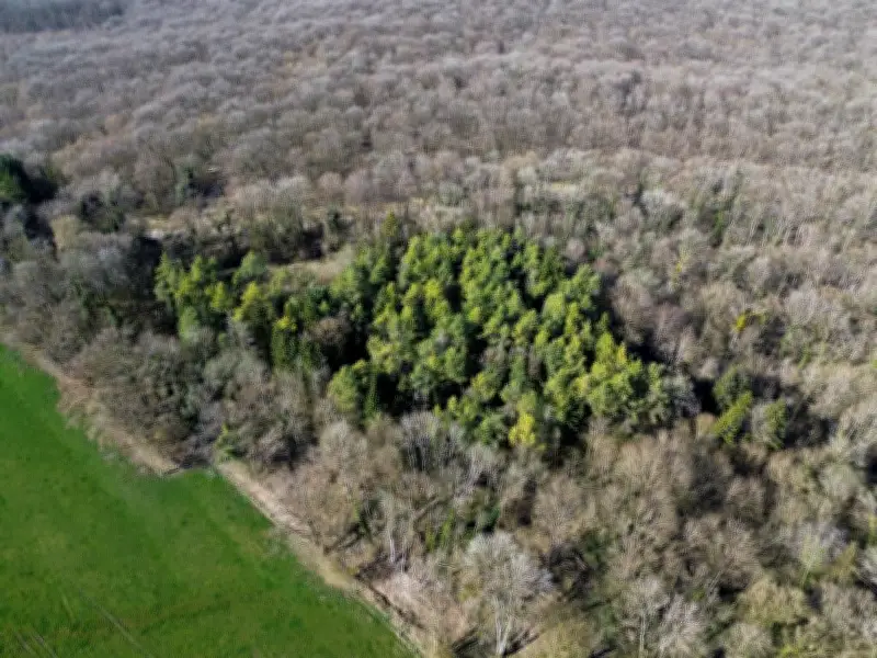 Santé et biodiversité : l'alerte sur l'inertie des pouvoirs publics au One Health Summit
