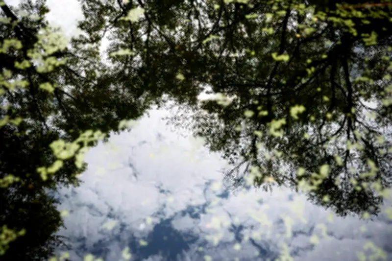 Santé et biodiversité : le moustique tigre, un enjeu qui pique