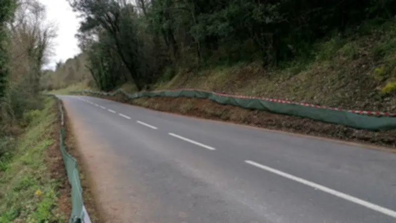 Sauvetage des amphibiens : un appel aux bénévoles lancé dans l'Hérault