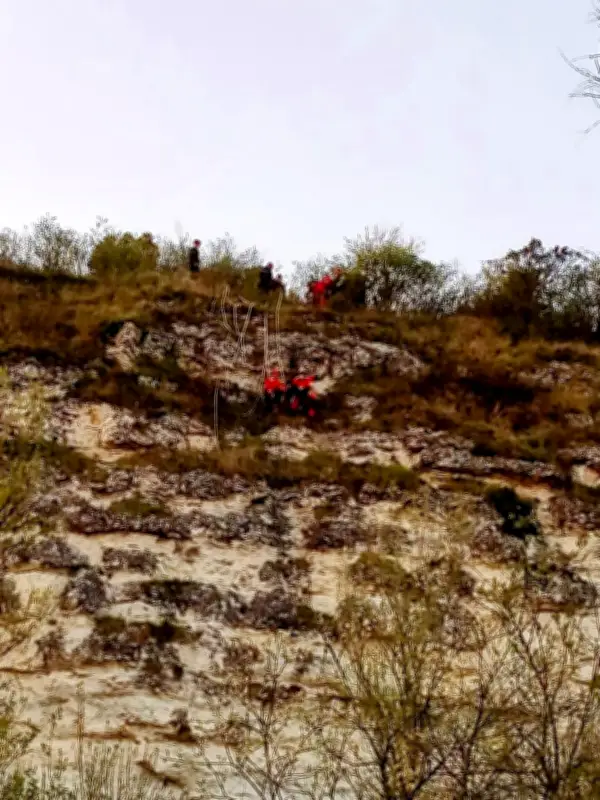 Sauvetage périlleux d'une chienne de chasse sur une falaise en Charente-Maritime