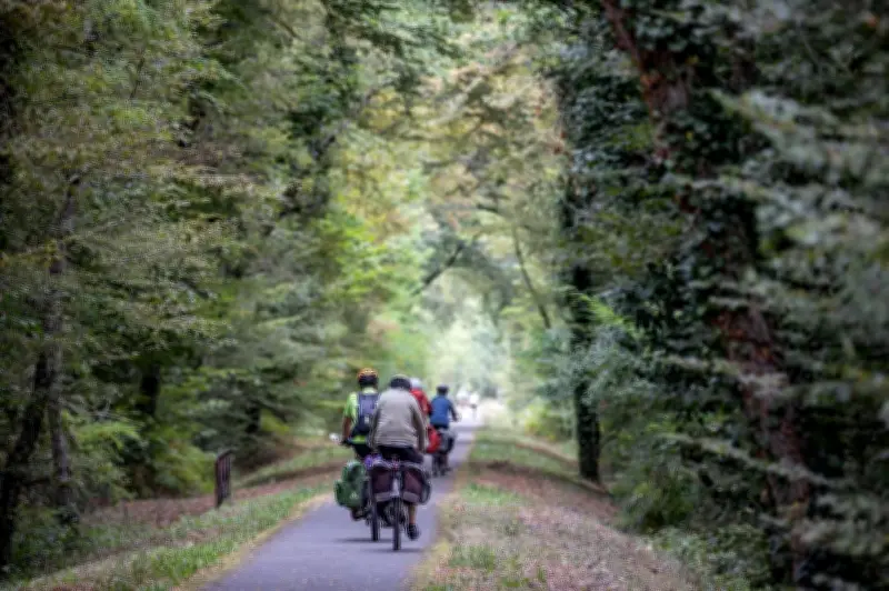 Sauveterre-de-Guyenne : la bastide devenue ville du vélo