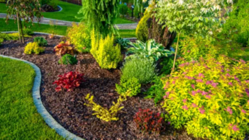 Sécateur sans fil à moins de 50 euros sur Amazon : une offre exceptionnelle pour jardiniers