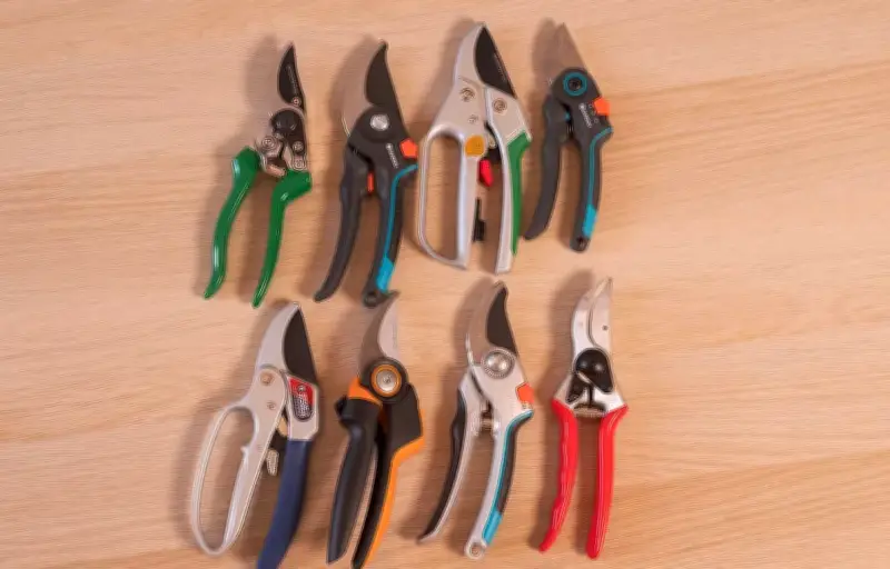 Sécateurs manuels : notre comparatif des 4 meilleurs modèles testés par nos experts