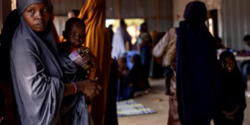 Sécheresse en Somalie : plus de 60 000 déplacés, l'OIM alerte