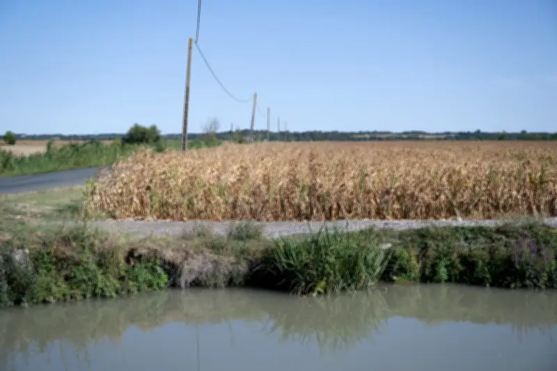 Sécheresse printanière : l'ouest de la France face à un déficit pluviométrique alarmant