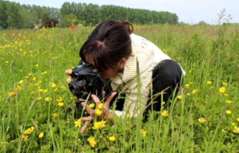Sciences participatives : comment les citoyens deviennent acteurs de la recherche